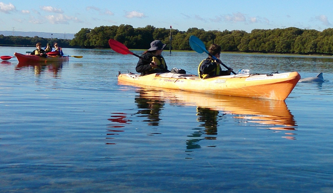 Dolphin Sanctuary & Ships Graveyard Kayak Tour